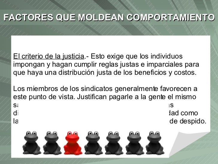 FormacióN Sociocultural