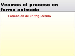 Veamos el proceso en forma animada 
