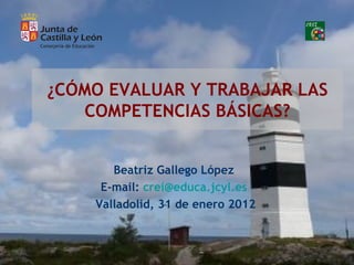 ¿CÓMO EVALUAR Y TRABAJAR LAS COMPETENCIAS BÁSICAS? Beatriz Gallego López  E-mail:  [email_address]   Valladolid, 31 de enero 2012 