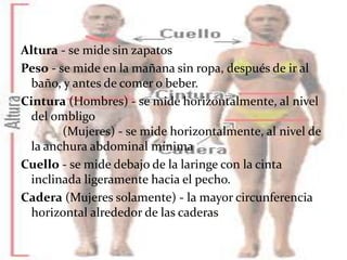 Altura - se mide sin zapatos 
Peso - se mide en la mañana sin ropa, después de ir al 
baño, y antes de comer o beber. 
Cintura (Hombres) - se mide horizontalmente, al nivel 
del ombligo 
(Mujeres) - se mide horizontalmente, al nivel de 
la anchura abdominal mínima 
Cuello - se mide debajo de la laringe con la cinta 
inclinada ligeramente hacia el pecho. 
Cadera (Mujeres solamente) - la mayor circunferencia 
horizontal alrededor de las caderas 
