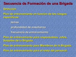 Secuencia de Formación de una BrigadaSecuencia de Formación de una Brigada
SelecciónSelección
Plan de entrenamiento en función de los riesgosPlan de entrenamiento en función de los riesgos
específicos:específicos:
temastemas
profundidad de enseñanzaprofundidad de enseñanza
frecuencia de entrenamientofrecuencia de entrenamiento
Plan de entrenamiento para responsables, Jefes,Plan de entrenamiento para responsables, Jefes,
Subjefes de la Brigada.Subjefes de la Brigada.
Plan de entrenamiento para Miembros de la Brigada.Plan de entrenamiento para Miembros de la Brigada.
Plan de entrenamiento para el resto del personal.Plan de entrenamiento para el resto del personal.
 