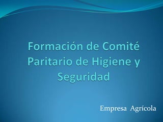 Formación de Comité Paritario de Higiene y Seguridad Empresa  Agrícola 