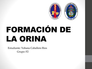 FORMACIÓN DE
LA ORINA
Estudiante: Yohana Caballero Rios
Grupo: F2
 
