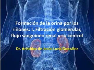 Formación de la orina por los
riñones: I. Filtración glomerular,
flujo sanguíneo renal y su control
Dr. Arístides de Jesús Luna González
 