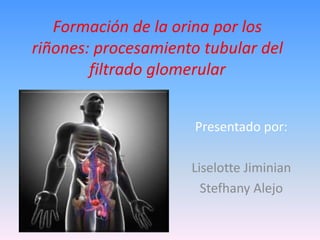 Formación de la orina por los
riñones: procesamiento tubular del
filtrado glomerular
Presentado por:
Liselotte Jiminian
Stefhany Alejo
 