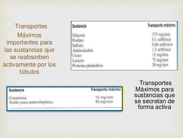 Resultado de imagen para sustancias que se reabsorben activamente por los túbulos