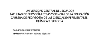 UNIVERSIDAD CENTRAL DEL ECUADOR
FACULTAD DE FILOSOFÍA LETRAS Y CIENCIAS DE LA EDUCACIÓN
CARRERA DE PEDAGOGÍA DE LAS CIENCIAS EXPERIMENTALES,
QUÍMICA Y BIOLOGÍA
Nombre: Vanessa Umaginga
Tema: Formación del aparato digestivo
 