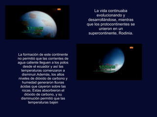 La vida continuaba
evolucionando y
desarrollándose, mientras
que los protocontinentes se
unieron en un
supercontinente, Rodinia.
La formación de este continente
no permitió que las corrientes de
agua caliente lleguen a los polos
desde el ecuador y así las
temperaturas comenzaron a
disminuir.Además, los altos
niveles de dióxido de carbono y
humedad generaron lluvias
ácidas que cayeron sobre las
rocas. Estas absorbieron el
dióxido de carbono, y su
disminución permitió que las
temperaturas bajen
 