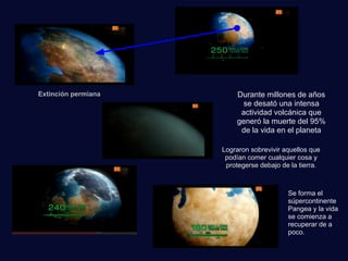 Extinción permiana Durante millones de años
se desató una intensa
actividad volcánica que
generó la muerte del 95%
de la vida en el planeta
Lograron sobrevivir aquellos que
podían comer cualquier cosa y
protegerse debajo de la tierra.
Se forma el
súpercontinente
Pangea y la vida
se comienza a
recuperar de a
poco.
 
