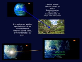 Estos gigantes reptiles
fueron eliminados por
un meteorito que
colisionó con la Tierra,
eliminando todo a su
paso
Millones de años
después Pangea de
separa .
Las especies que
sobrevivieron,
evolucionan para dar
origen a los dinosaurios.
 