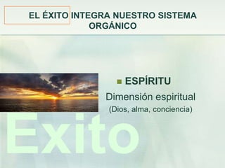 EL ÉXITO INTEGRA NUESTRO SISTEMA
             ORGÁNICO




                    ESPÍRITU
              Dimensión espiritual
               (Dios, alma, conciencia)




Éxito
 