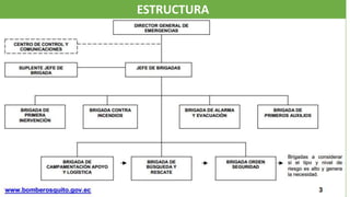 ESTRUCTURA
 