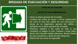BRIGADA DE EVACUACIÓN Y SEGURIDAD
FASES DE ACTUACIÓN
ANTES DE UNA EMERGENCIA.
• Hacer un plano general del inmueble.
• Localizar las zonas de mayor y menor peligrosidad,
así como la ruta más viables de una evacuación a
través de un diagnóstico general del edificio y
señalarlos en el plano general del inmueble.
• Observar, registrar y dar parte de todo lo que
considere un peligro a corto, mediano y largo plazo,
dentro del inmueble (cables eléctricos, libreros fáciles
de caer, esculturas u obras de arte inseguras).
• Determinar las zonas de seguridad.
 