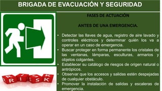 BRIGADA DE EVACUACIÓN Y SEGURIDAD
FASES DE ACTUACIÓN
ANTES DE UNA EMERGENCIA.
• Detectar las llaves de agua, registro de aire lavado y
controles eléctricos y determinar quién los va a
operar en un caso de emergencia.
• Buscar proteger en forma permanente los cristales de
las ventanas, lámparas, esculturas, armarios y
objetos colgantes.
• Establecer su catálogo de riesgos de origen natural o
antrópicos.
• Observar que los accesos y salidas estén despejadas
de cualquier obstáculo.
• Promover la instalación de salidas y escaleras de
emergencia.
 