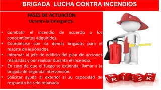 BRIGADA LUCHA CONTRA INCENDIOS
FASES DE ACTUACIÓN
Durante la Emergencia.
• Combatir el incendio de acuerdo a los
conocimientos adquiridos.
• Coordinarse con las demás brigadas para el
rescate de lesionados.
• Informar al jefe de edificio del plan de acciones
realizadas y por realizar durante el incendio.
• En caso de que el fuego se extienda, llamar a la
brigada de segunda intervención.
• Solicitar ayuda al exterior si su capacidad de
respuesta ha sido rebasada.
 