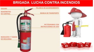 BRIGADA LUCHA CONTRA INCENDIOS
EQUIPOS DE LUCHA CONTRA INCENDIO
 