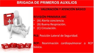 BRIGADA DE PRIMEROS AUXILIOS
VALORACIÓN Y ATENCIÓN BÁSICO
REVISIÓN PRIMARIA ABC
• (A) Alerta conciencia.
• (B) Buena Respiración.
• (C) Circulación.
PLS: Posición Lateral de Seguridad.
RCP: Reanimación cardiopulmonar o RCP
básica.
 