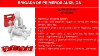BRIGADA DE PRIMEROS AUXILIOS
QUEMADURAS
¿Qué hacer?
• Neutralizar el agente agresor.
• Si la ropa está ardiendo, apagar las llamas con mantas,
abrigos, agua, etc.
• Controlar el pulso y la respiración. Si son negativas, iniciar
R.C.P.
• Cortar las ropas sobre la zona quemada. No tratar de
quitar la ropa adherida a la quemadura.
• Tapar con gasas, y practicar vendajes poco voluminosos y
no compresivos.
• Tranquilizar al lesionado.
• Trasladar al paciente a un Centro o Unidad de Quemados.
 
