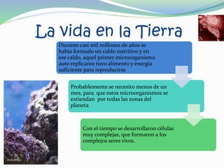 La vida en la Tierra
Durante casi mil millones de años se
había formado un caldo nutritivo y en
ese caldo, aquel primer microorganismo
auto replicante tuvo alimento y energía
suficiente para reproducirse
Probablemente se necesito menos de un
mes, para que estos microorganismos se
extiendan por todas las zonas del
planeta
Con el tiempo se desarrollaron células
muy complejas, que formaron a los
complejos seres vivos.
 