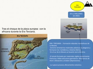 ERA
TERCIARIA
65 a 2 MILLONES
DE AÑOS
ERA TERCIARIA -. Orogénesis Alpina , dio lugar a la
formación de los relieves más importantes.
-Formación de los Pirineos , entre el macizo de
Aquitania y el Hespérico. Depresión Ebro.
-Formación de cord.Béticas y depresión del
Guadalquivir.
-El macizo Hespérico cambio su inclinación hacia el
atlántico.
ERA TERCIARIA -. Formación rebordes montañosos de
la Meseta
-Extremo Oriental los materiales plásticos se plegaron y
formaron Cor. Cantábrica y Sistema Ibérico.
-En el sur de la Mesera se levantó sierra Morena.
-El zócalo formado por materiales rígidos experimento
fracturas y fallas-estructura germánica- Alternancia de
Horst (Elevación) y Graben (depresiones).
-La ruptura provoco afloramiento volcánico.
Tras el choque de la placa europea con la
africana durante la Era Terciaria.
 