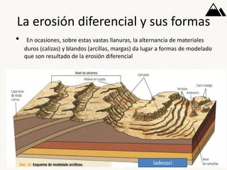 La erosión diferencial y sus formas
• En ocasiones, sobre estas vastas llanuras, la alternancia de materiales
duros (calizas) y blandos (arcillas, margas) da lugar a formas de modelado
que son resultado de la erosión diferencial
ladesoci
 