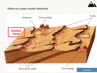 Relieve en cuesta -erosión diferencial
blandos
ladesoci
 