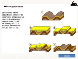 ladesoci
 