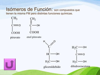 Isómeros de Función: son compuestos que
tienen la misma FM pero distintas funciones químicas.

CH3
C

CH2
O

C

OH

COOH

COOH

piruvato

enol piruvato
H

O

C

H2 C

HC

OH

C

H2C

OH

H 2C

gliceraldehído

OH
O
OH

dihidroxiacetona

 