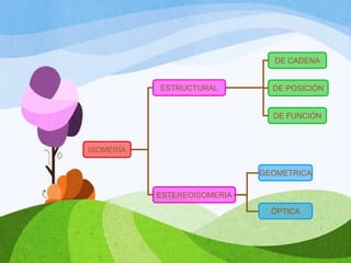 DE CADENA

ESTRUCTURAL

DE POSICIÓN

DE FUNCIÓN

ISOMERÍA
GEOMETRICA
ESTEREOISOMERIA
ÓPTICA

 