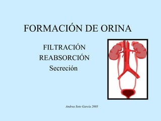 FORMACIÓN DE ORINA
FILTRACIÓN
REABSORCIÓN
Secreción
Andrea Soto García 2005
 