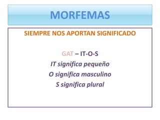 MORFEMAS
SIEMPRE NOS APORTAN SIGNIFICADO
GAT – IT-O-S
IT significa pequeño
O significa masculino
S significa plural