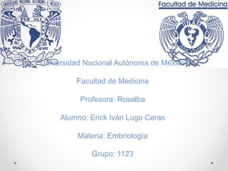 Universidad Nacional Autónoma de México
Facultad de Medicina
Profesora: Rosalba
Alumno: Erick Iván Lugo Ceras
Materia: Embriología
Grupo: 1123
 