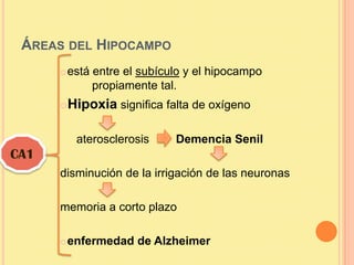 ÁREAS DEL HIPOCAMPO
         está entre el subículo y el hipocampo
               propiamente tal.
         Hipoxia significa falta de oxígeno

           aterosclerosis     Demencia Senil
CA1
      disminución de la irrigación de las neuronas

      memoria a corto plazo

         enfermedad de Alzheimer
 