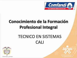 Conocimiento de la Formación
    Profesional Integral
    TECNICO EN SISTEMAS
            CALI

                               1
 
