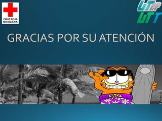 GRACIAS POR SU ATENCIÓN
 