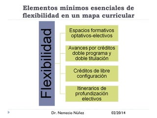 Elementos mínimos esenciales de
flexibilidad en un mapa curricular

Dr. Nemecio Núñez

02/20/14

 