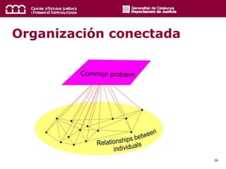 39
Organización conectada
 