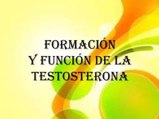 FORMACIÓN
Y FUNCIÓN DE LA
TESTOSTERONA
 