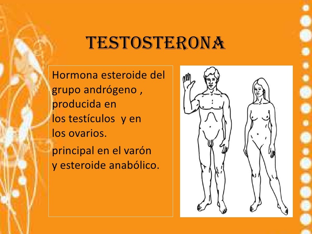 Formación y función de la testosterona
