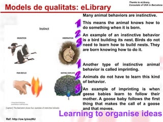 Models de qualitats: eLibrary 
Many animal behaviors are instinctive. 
This means the animal knows how to 
do something when it is born. 
An example of an instinctive behavior 
is a bird building its nest. Birds do not 
need to learn how to build nests. They 
are born knowing how to do it. 
Another type of instinctive animal 
behavior is called imprinting. 
Animals do not have to learn this kind 
of behavior. 
An example of imprinting is when 
geese babies learn to follow their 
mother. A goose baby follows the first 
thing that makes the call of a goose 
and that moves. 
Ref: http://ow.ly/exzNU 
Thanks to eLibrary, 
Consolate of USA in Barcelona 
Learning to organise ideas 
 