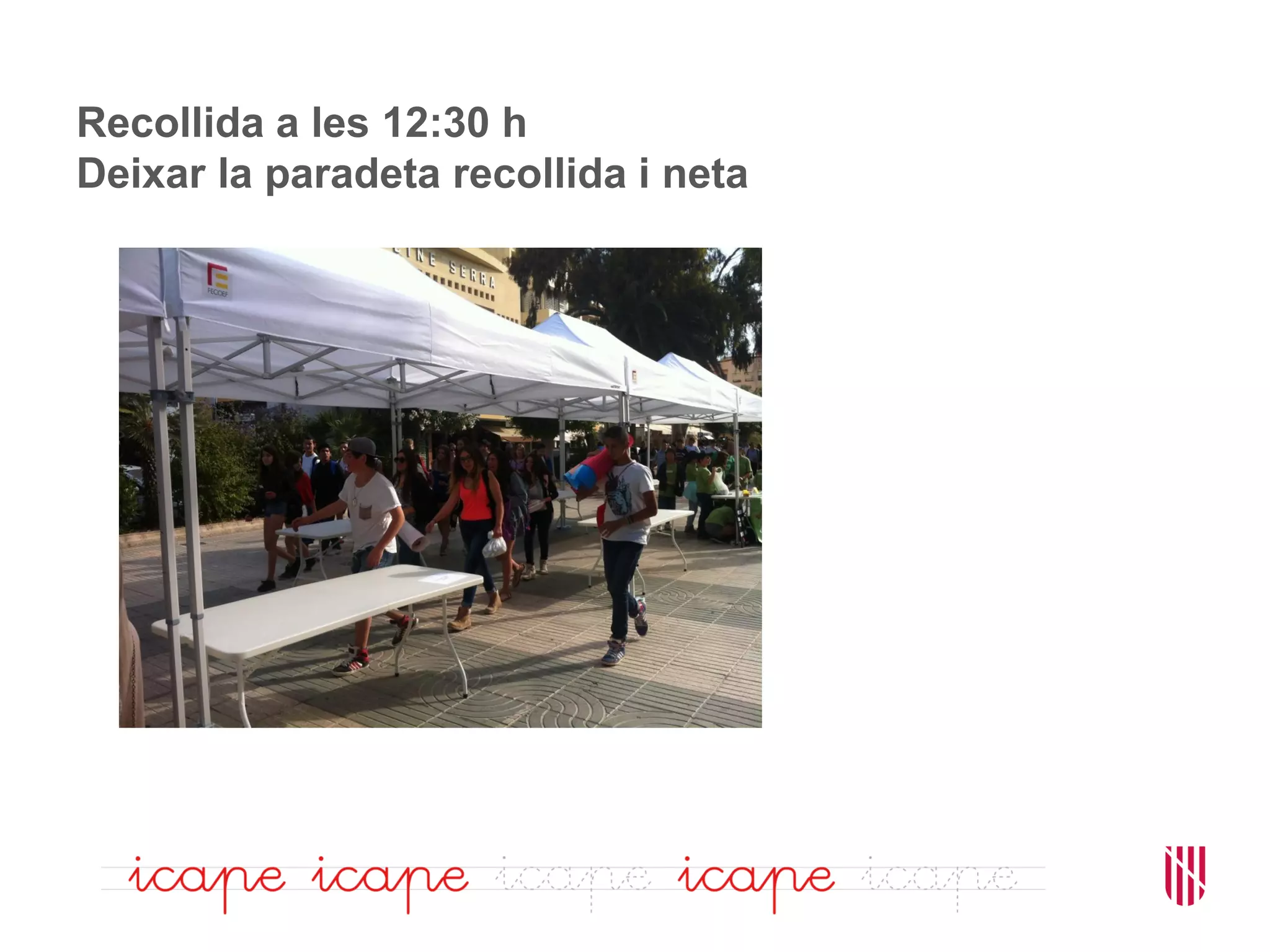 Recollida a les 12:30 h
Deixar la paradeta recollida i neta
 