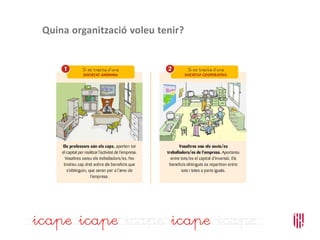 Quina organització voleu tenir?
 