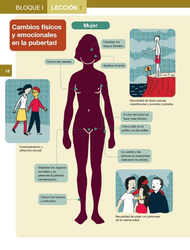 Resultado de imagen para cambios fisicos en la pubertad de la mujer de formacion civica