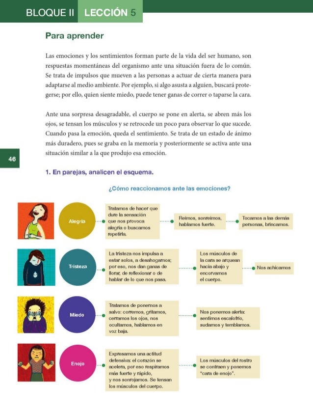 Los bridges para el adelgazamiento en inferior novgorode