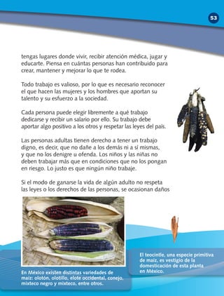 tengas lugares donde vivir, recibir atención médica, jugar y
educarte. Piensa en cuántas personas han contribuido para
crear, mantener y mejorar lo que te rodea.
Todo trabajo es valioso, por lo que es necesario reconocer
el que hacen las mujeres y los hombres que aportan su
talento y su esfuerzo a la sociedad.
Cada persona puede elegir libremente a qué trabajo
dedicarse y recibir un salario por ello. Su trabajo debe
aportar algo positivo a los otros y respetar las leyes del país.
Las personas adultas tienen derecho a tener un trabajo
digno, es decir, que no dañe a los demás ni a sí mismas,
y que no los denigre u ofenda. Los niños y las niñas no
deben trabajar más que en condiciones que no los pongan
en riesgo. Lo justo es que ningún niño trabaje.
Si el modo de ganarse la vida de algún adulto no respeta
las leyes o los derechos de las personas, se ocasionan daños
En México existen distintas variedades de
maíz: olotón, olotillo, elote occidental, conejo,
mixteco negro y mixteco, entre otros.
El teocintle, una especie primitiva
de maíz, es vestigio de la
domesticación de esta planta
en México.
53
 
