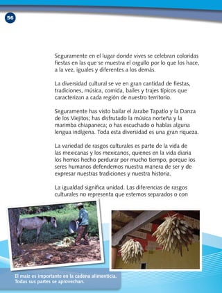 56
Seguramente en el lugar donde vives se celebran coloridas
fiestas en las que se muestra el orgullo por lo que los hace,
a la vez, iguales y diferentes a los demás.
La diversidad cultural se ve en gran cantidad de fiestas,
tradiciones, música, comida, bailes y trajes típicos que
caracterizan a cada región de nuestro territorio.
Seguramente has visto bailar el Jarabe Tapatío y la Danza
de los Viejitos; has disfrutado la música norteña y la
marimba chiapaneca; o has escuchado o hablas alguna
lengua indígena. Toda esta diversidad es una gran riqueza.
La variedad de rasgos culturales es parte de la vida de
las mexicanas y los mexicanos, quienes en la vida diaria
los hemos hecho perdurar por mucho tiempo, porque los
seres humanos defendemos nuestra manera de ser y de
expresar nuestras tradiciones y nuestra historia.
La igualdad significa unidad. Las diferencias de rasgos
culturales no representa que estemos separados o con
El maíz es importante en la cadena alimenticia.
Todas sus partes se aprovechan.
 