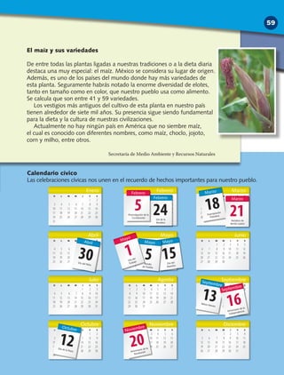 Bloque 3
Enero
D L M M J V S
1 2
3 4 5 6 7 8 9
10 11 12 13 14 15 16
17 18 19 20 21 22 23
24 25 26 27 28 29 30
31
Febrero
D L M M J V S
1 2 3 4 5 6
7 8 9 10 11 12 13
14 15 16 17 18 19 20
21 22 23 24 25 26 27
28
Marzo
D L M M J V S
1 2 3 4 5 6
7 8 9 10 11 12 13
14 15 16 17 18 19 20
21 22 23 24 25 26 27
28 29 30 31
Abril
D L M M J V S
1 2 3
4 5 6 7 8 9 10
11 12 13 14 15 16 17
18 19 20 21 22 23 24
25 26 27 28 29 30
Mayo
D L M M J V S
1
2 3 4 5 6 7 8
9 10 11 12 13 14 15
16 17 18 19 20 21 22
23 24 25 26 27 28 29
30 31
Junio
D L M M J V S
1 2 3 4 5
6 7 8 9 10 11 12
13 14 15 16 17 18 19
20 21 22 23 24 25 26
27 28 29 30
Julio
D L M M J V S
1 2 3
4 5 6 7 8 9 10
11 12 13 14 15 16 17
18 19 20 21 22 23 24
25 26 27 28 29 30 31
Agosto
D L M M J V S
1 2 3 4 5 6 7
8 9 10 11 12 13 14
15 16 17 18 19 20 21
22 23 24 25 26 27 28
29 30 31
Septiembre
D L M M J V S
1 2 3 4
5 6 7 8 9 10 11
12 13 14 15 16 17 18
19 20 21 22 23 24 25
26 27 28 29 30
Octubre
D L M M J V S
1 2
3 4 5 6 7 8 9
10 11 12 13 14 15 16
17 18 19 20 21 22 23
24 25 26 27 28 29 30
31
Noviembre
D L M M J V S
1 2 3 4 5 6
7 8 9 10 11 12 13
14 15 16 17 18 19 20
21 22 23 24 25 26 27
28 29 30
Diciembre
D L M M J V S
1 2 3 4
5 6 7 8 9 10 11
12 13 14 15 16 17 18
19 20 21 22 23 24 25
26 27 28 29 30 31
Febrero
24Día de la
Bandera
Septiembre
13Niños Héroes
Octubre
12Día de la Raza
Abril
30Día del Niño
Marzo
18Expropiación
Petrolera
Marzo
21Natalicio de
Benito Juárez
Febrero
5Promulgación de la
Constitución
Noviembre
20Aniversario de la
Revolución
Septiembre
16Aniversario de la
Independencia
Mayo
15Día del
Maestro
Mayo
5Batalla
de Puebla
Mayo
1Día del
Trabajo
El maíz y sus variedades
De entre todas las plantas ligadas a nuestras tradiciones o a la dieta diaria
destaca una muy especial: el maíz. México se considera su lugar de origen.
Además, es uno de los países del mundo donde hay más variedades de
esta planta. Seguramente habrás notado la enorme diversidad de elotes,
tanto en tamaño como en color, que nuestro pueblo usa como alimento.
Se calcula que son entre 41 y 59 variedades.
Los vestigios más antiguos del cultivo de esta planta en nuestro país
tienen alrededor de siete mil años. Su presencia sigue siendo fundamental
para la dieta y la cultura de nuestras civilizaciones.
Actualmente no hay ningún país en América que no siembre maíz,
el cual es conocido con diferentes nombres, como maíz, choclo, jojoto,
corn y milho, entre otros.
		 Secretaría de Medio Ambiente y Recursos Naturales
Calendario cívico
Las celebraciones cívicas nos unen en el recuerdo de hechos importantes para nuestro pueblo.
59
CivicaSegundoGrado3ªABl3-4-5D.indd3 59 19/2/10 10:53:23
 