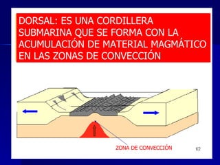 DORSAL: ES UNA CORDILLERA SUBMARINA QUE SE FORMA CON LA ACUMULACIÓN DE MATERIAL MAGMÁTICO EN LAS ZONAS DE CONVECCIÓN ZONA DE CONVECCIÓN 