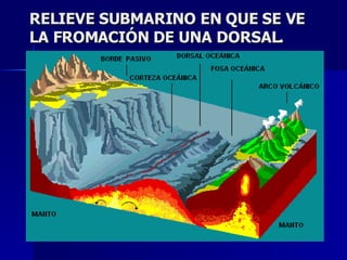 RELIEVE SUBMARINO EN QUE SE VE LA FROMACIÓN DE UNA DORSAL. 