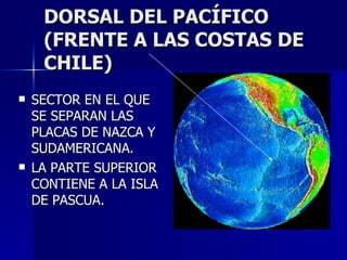DORSAL DEL PACÍFICO (FRENTE A LAS COSTAS DE CHILE) SECTOR EN EL QUE SE SEPARAN LAS PLACAS DE NAZCA Y SUDAMERICANA. LA PARTE SUPERIOR CONTIENE A LA ISLA DE PASCUA. 